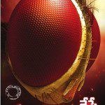 SS Rajamouli’s Eega Release Posters