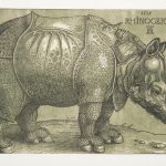 Duerer_Rhinoceros