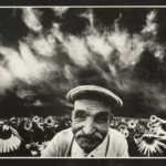 Sunflowers II – 1975 © Oleksandr Suprun