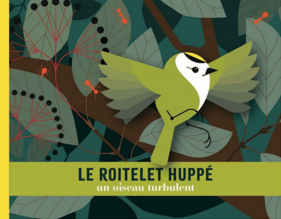 Couverture du livre « Le roitelet huppé, un oiseau turbulent »