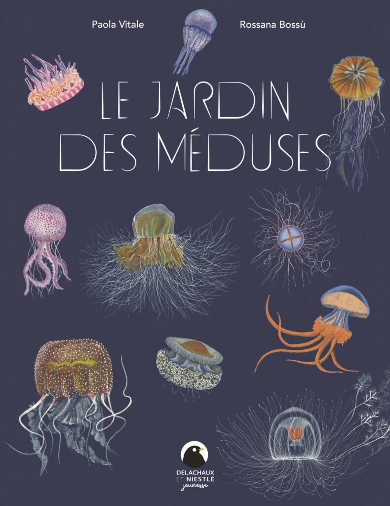 Couverture du livre « Le jardin des méduses » (La Martinière, 2024)